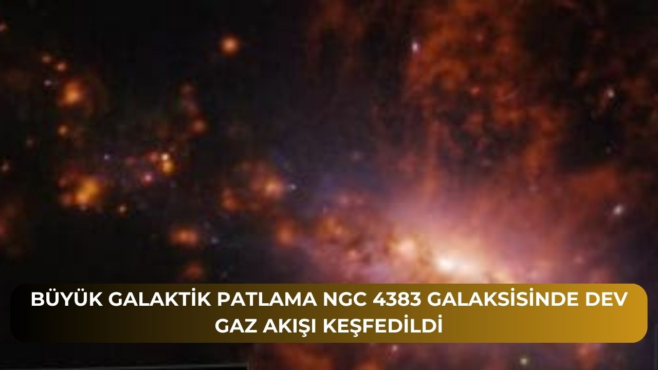 Ford Kuzey Amerika bayilerine 144.000 kamyon gonderecekpazarlama 88