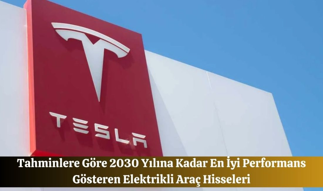 Elektrikli araç (EV) endüstrisi,