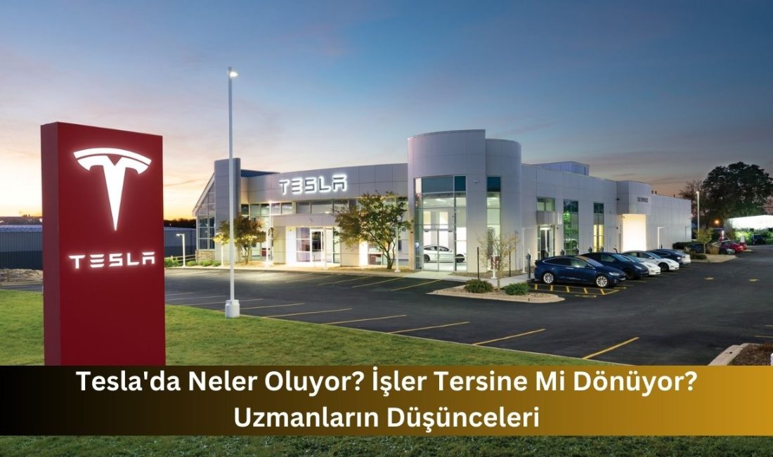 Elon Musk’un liderliğindeki Tesla,