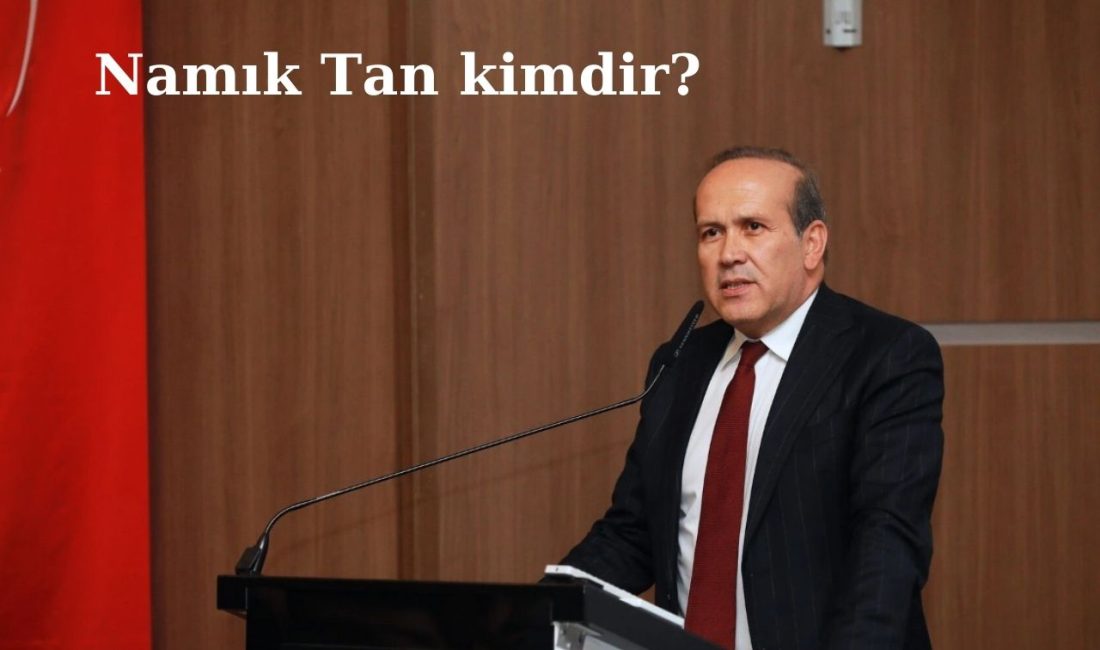 Namık Tan, diplomasi dünyasında